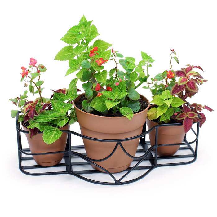 Achla Argyle Window Box